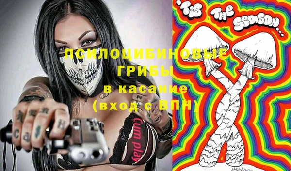 дживик Костерёво