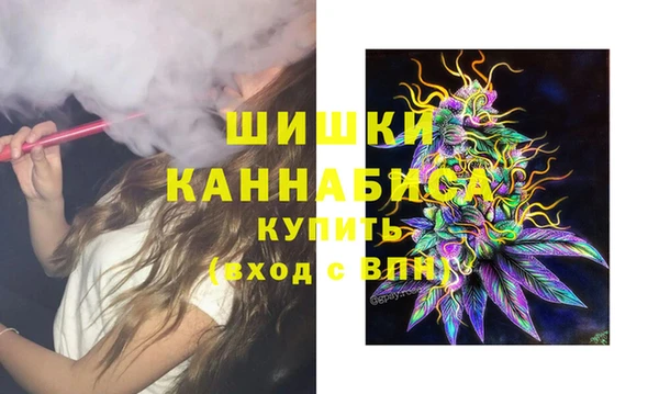 ПСИЛОЦИБИНОВЫЕ ГРИБЫ Корсаков