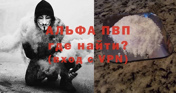 ПСИЛОЦИБИНОВЫЕ ГРИБЫ Корсаков
