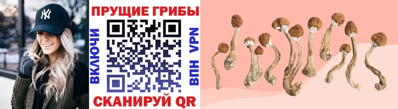 Галлюциногенные грибы Magic Shrooms  Куртамыш 